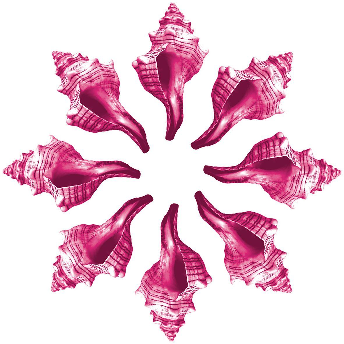DFS Plus 